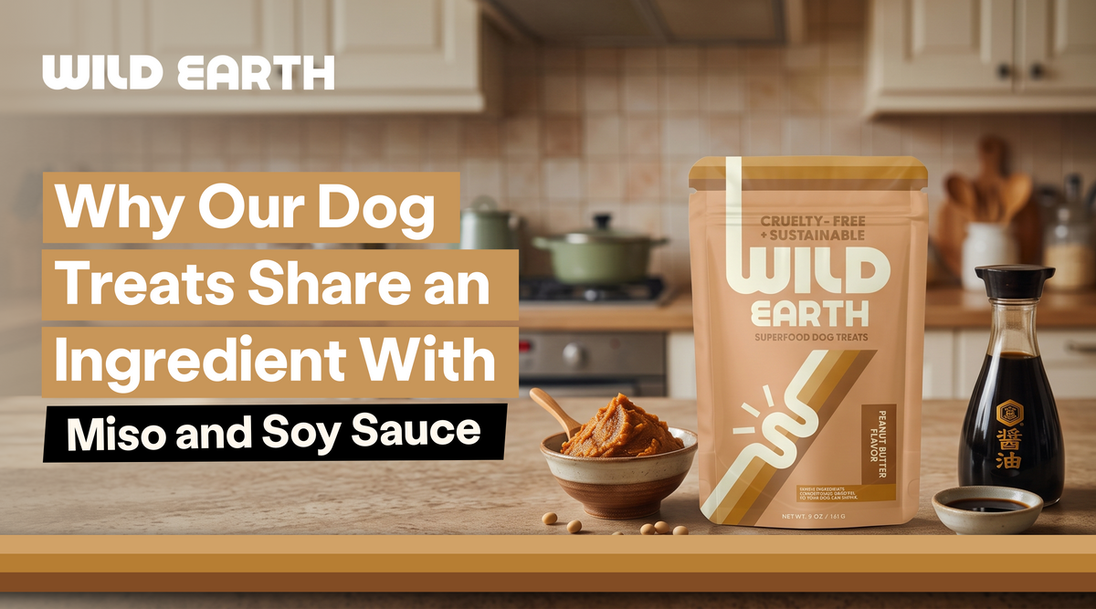 Wild Earth Peanut Butter Superfood Dog Treats bag between a bowl of miso and a bottle of soy sauce