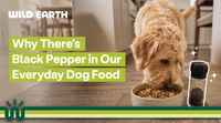 Why There's Black Pepper in Our Everyday Dog Food