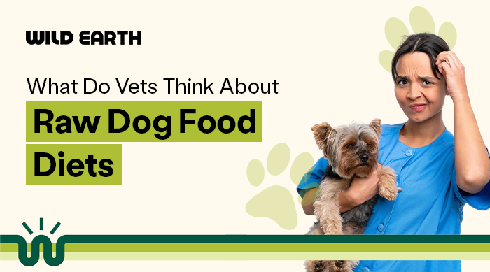 Wild Earth graphic title saying "What do vets think about raw dog food diets" with a confused looking vet holding a dog