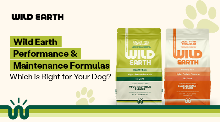 Wild Earth Performance & Maintenance Formulas: Which is Right for Your Dog?
