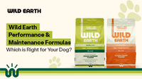 Wild Earth Performance & Maintenance Formulas: Which is Right for Your Dog?