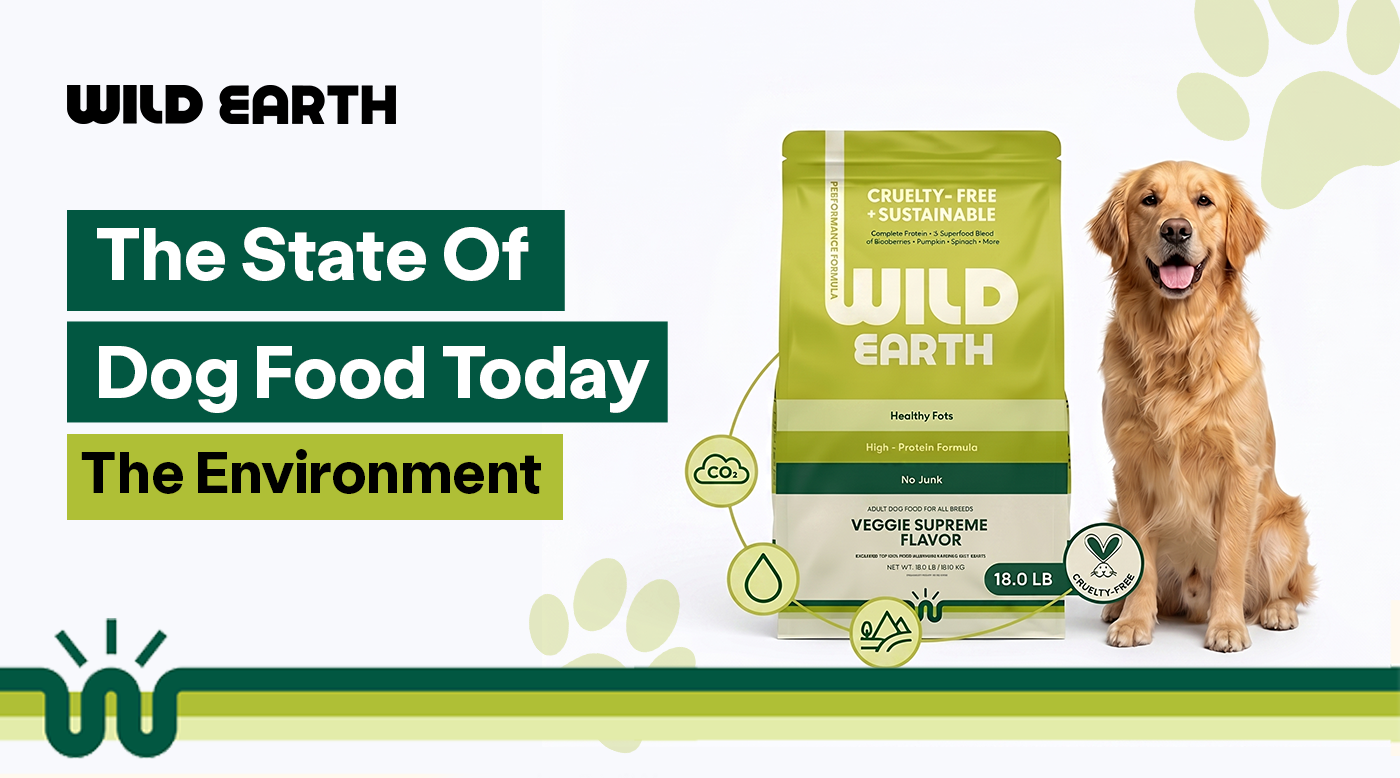 Wild Earth dog food package with a golden retriever, highlighting cruelty-free, sustainable, high-protein formula and environmental focus.