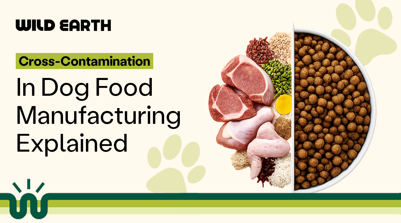 Wild Earth infographic explaining cross-contamination in dog food manufacturing with raw ingredients and kibble in split bowl.