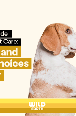 Infographic by Wild Earth titled "The Beginner’s Guide to Eco-Friendly Pet Care," featuring a beagle reaching for a pink toy ball.
