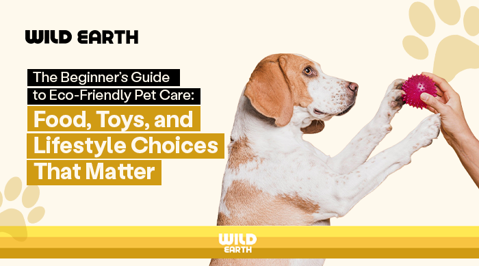 Infographic by Wild Earth titled "The Beginner’s Guide to Eco-Friendly Pet Care," featuring a beagle reaching for a pink toy ball.