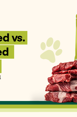 Plant-based vs meat-based dog food nutrition comparison infographic with Wild Earth dog food bag and raw meat illustration.