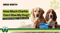 How Much Claritin Can I Give My Dog? Dosage by Weight + Safety Guide