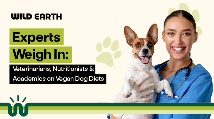 a vet holding a smiling do with blog title: Experts Weigh In Veterinarians, Nutritionists & Academics on Vegan Dog Diets 