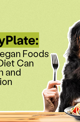 A happy dog sits at a table with a human hand holding fork and knife, looking eagerly at a plate of vegan spaghetti. 