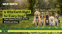 Wild Earth Right for Every Dog? Plant-Based Nutrition for All Breeds and Sizes