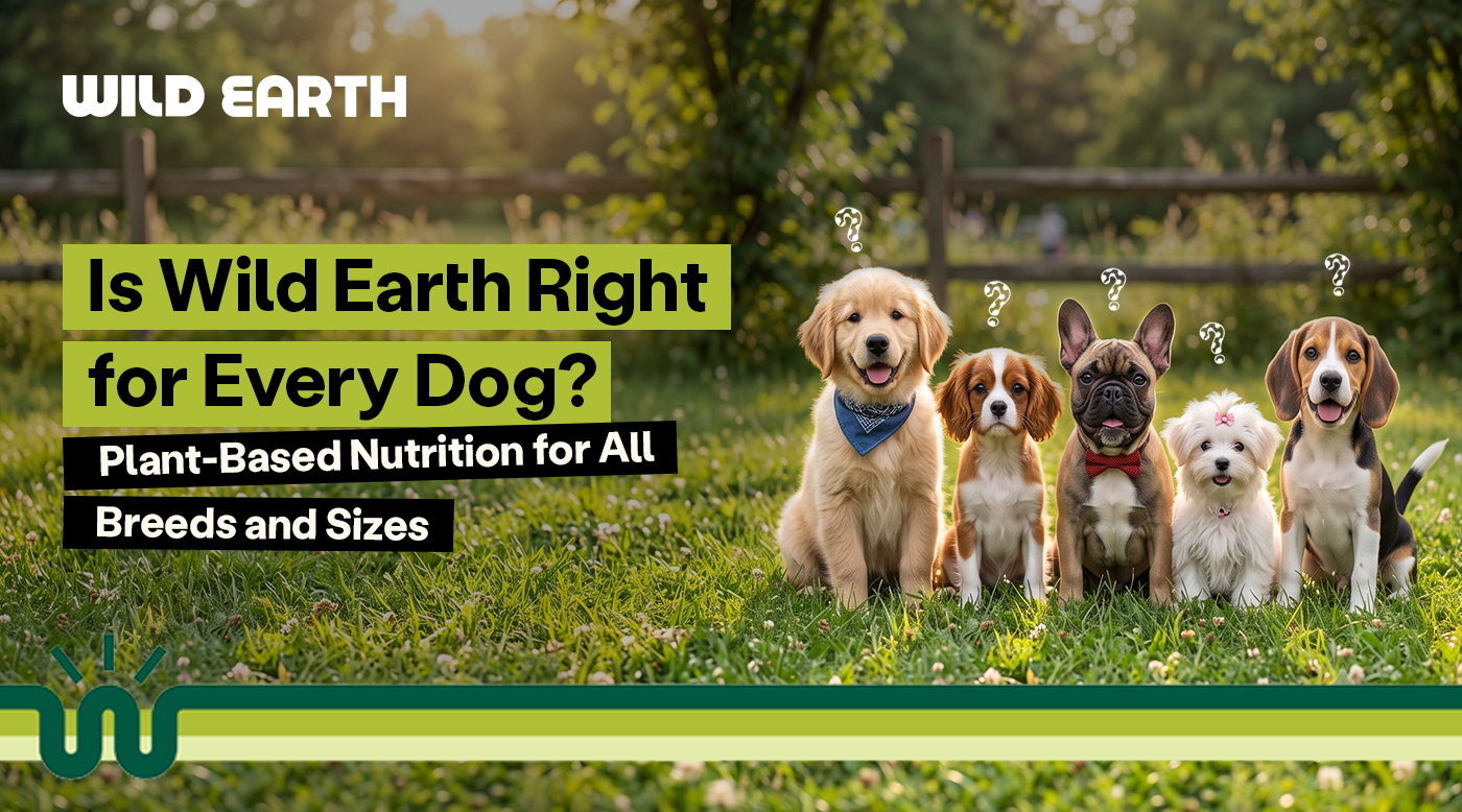 Wild Earth banner: "Is Wild Earth Right for Every Dog? Plant-Based Nutrition for All Breeds and Sizes" with five dogs sitting in grass