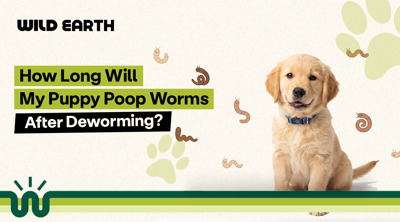 How Long Will My Puppy Poop Worms After Deworming