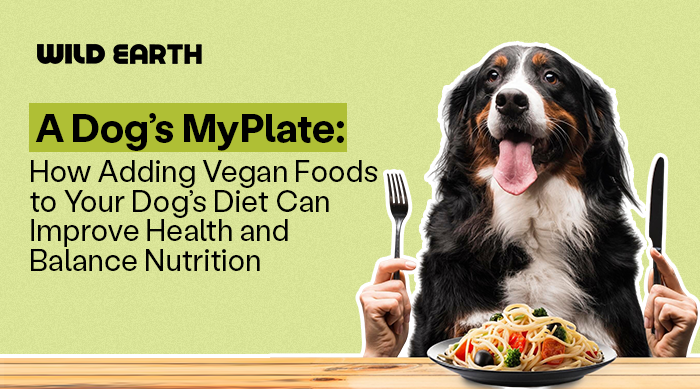 A happy dog sits at a table with a human hand holding fork and knife, looking eagerly at a plate of vegan spaghetti. 