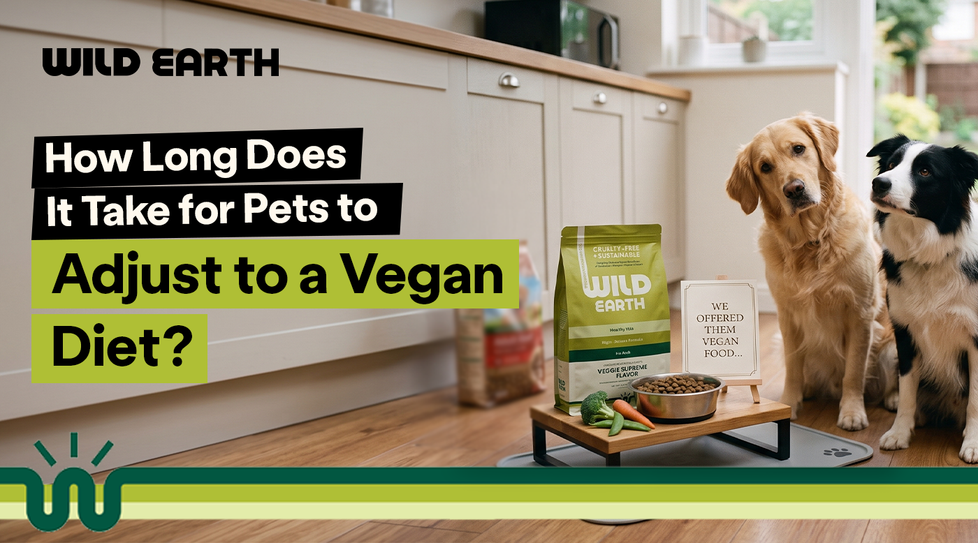 How Long Does It Take for Pets to Adjust to a Vegan Diet?