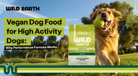 Vegan Dog Food for High Activity Dogs: Why Performance Formula Works