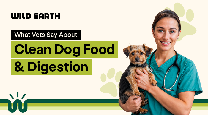 Veterinarian holding a small dog beside text ‘What Vets Say About Clean Dog Food & Digestion’
