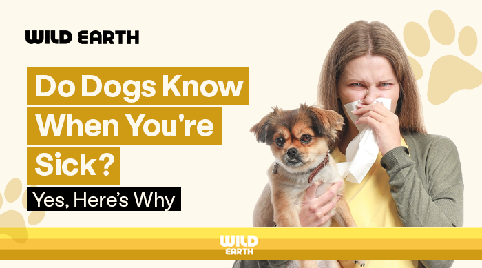 Woman holding a small dog while blowing her nose into a tissue, illustrating the idea that dogs may sense when their owners are sick