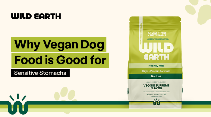 Wild Earth no junk plant-based kibble in veggie supreme flavor with text "Why Vegan Dog Food is Good for Sensitive Stomachs"