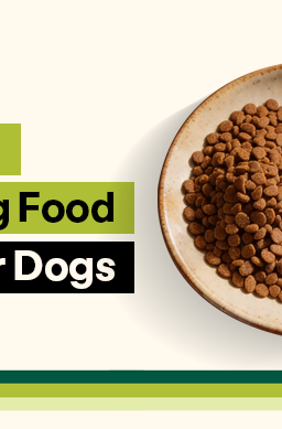 A divided bowl comparing dry kibble to chunky fresh food with meat and vegetables.