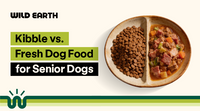 Kibble vs. Fresh Dog Food for Senior Dogs
