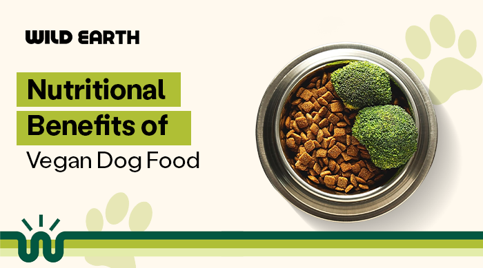 A bowl of dog kibble with greens in the side with caption "Nutritional Benefits Of Vegan Dog Food"A bowl of dog kibble with greens in the side with caption "Nutritional Benefits Of Vegan Dog Food"