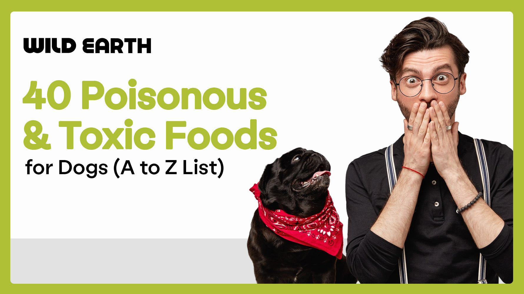 40 Poisonous & Toxic Foods for Dogs (A to Z List)