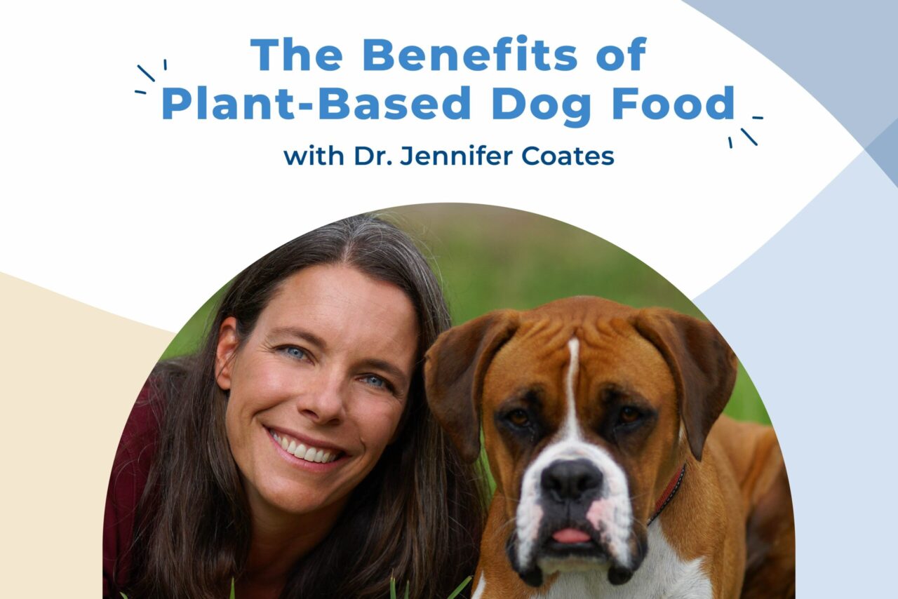 dr jennifer coates dvm video