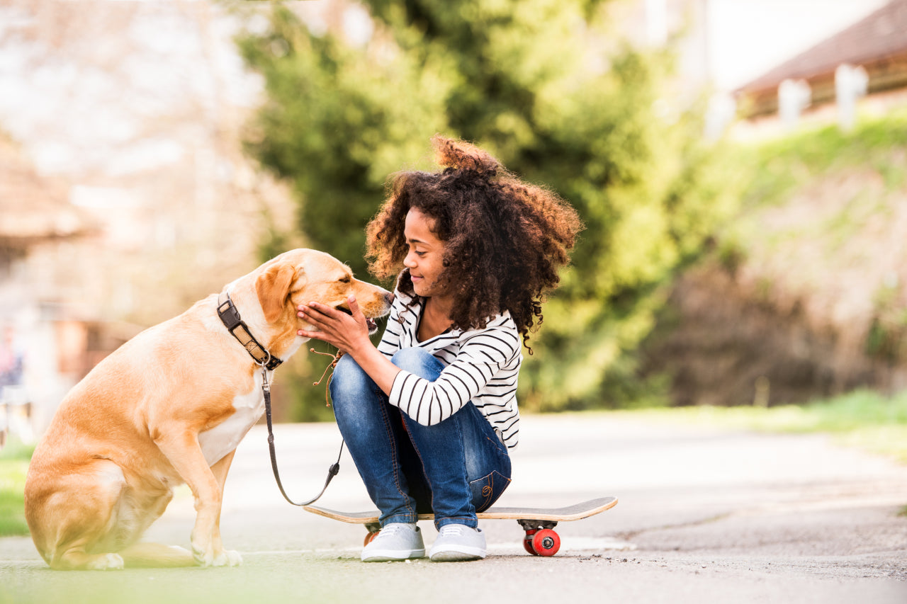Pet Health and Wellness: A Veterinarian’s Perspective