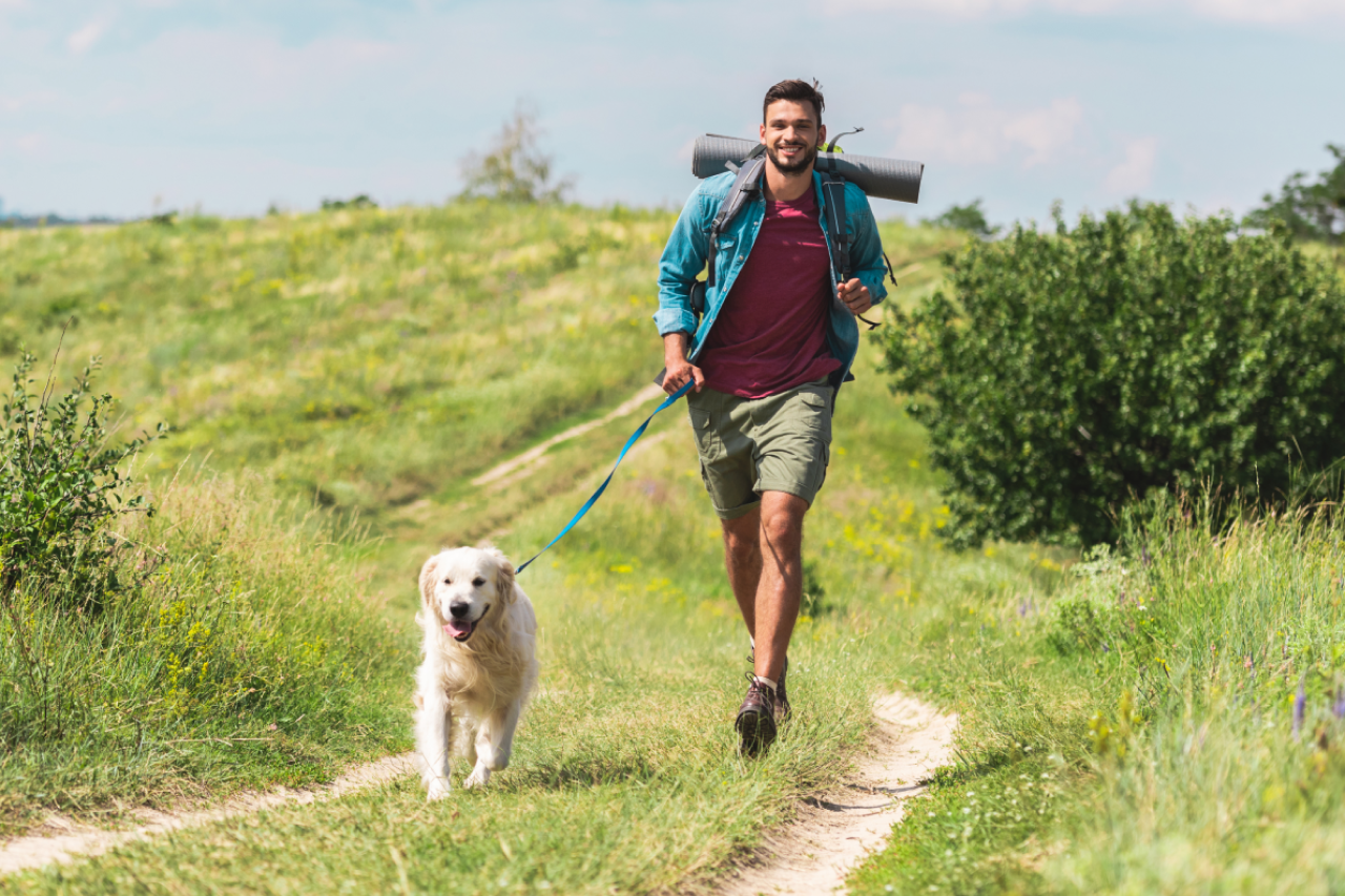 Hiking With Your Dog - 5 Bucket List Dog Hikes