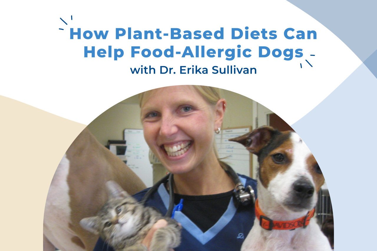 [Video] How Plant-Based Diets Can Help Food-Allergic Dogs