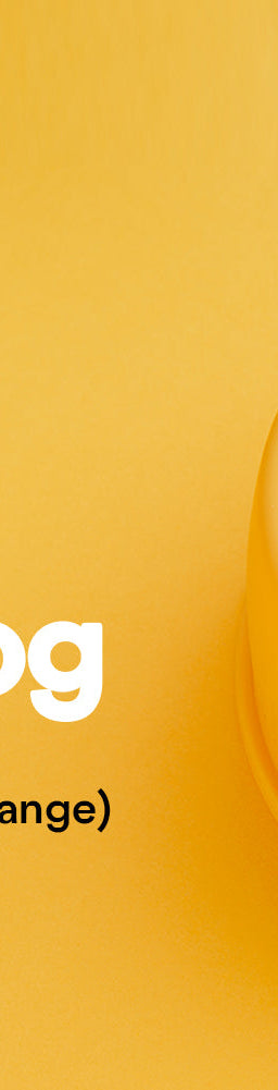 A yellow bowl of kibble with a yellow background