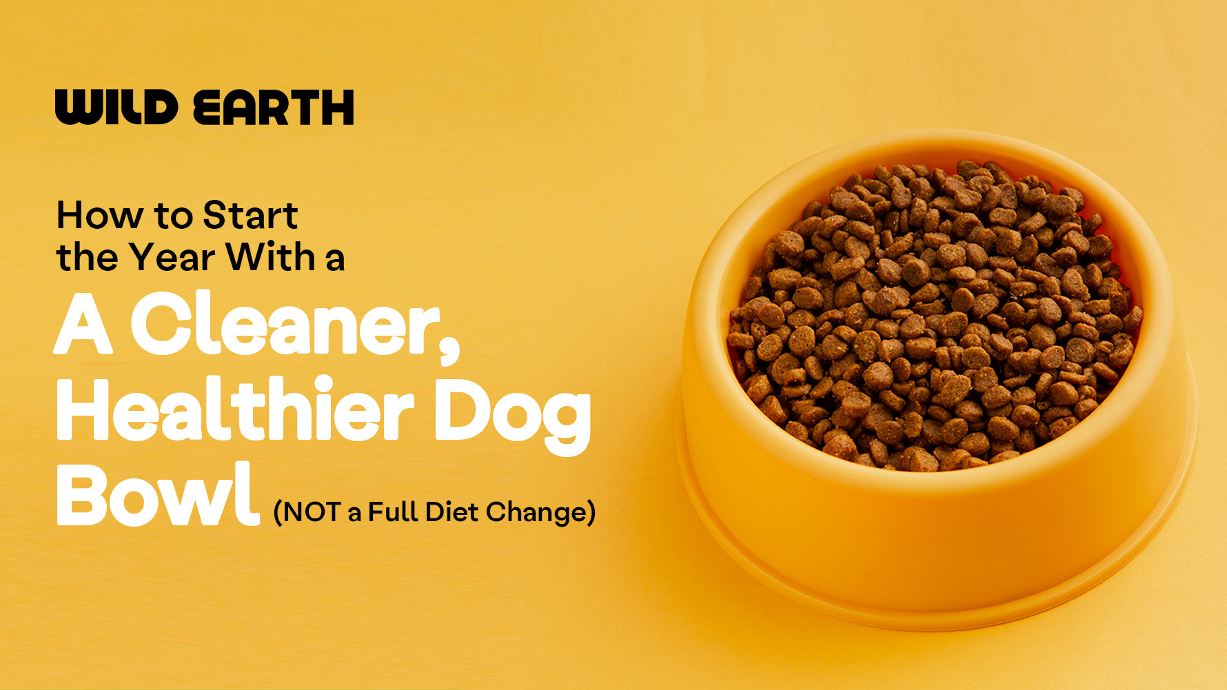 A yellow bowl of kibble with a yellow background