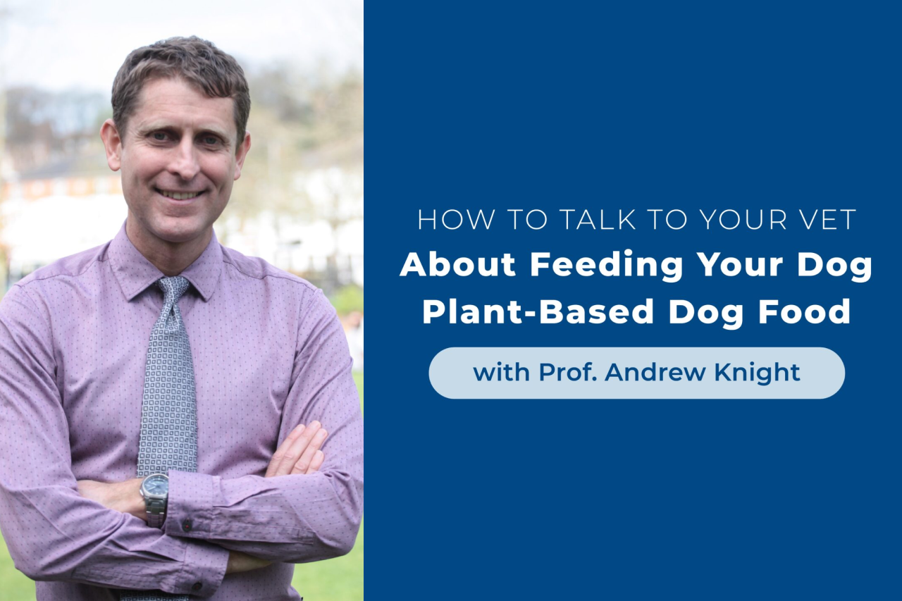 [Video] How to Talk to Your Vet About Plant-Based Dog Food with Prof. Andrew Knight