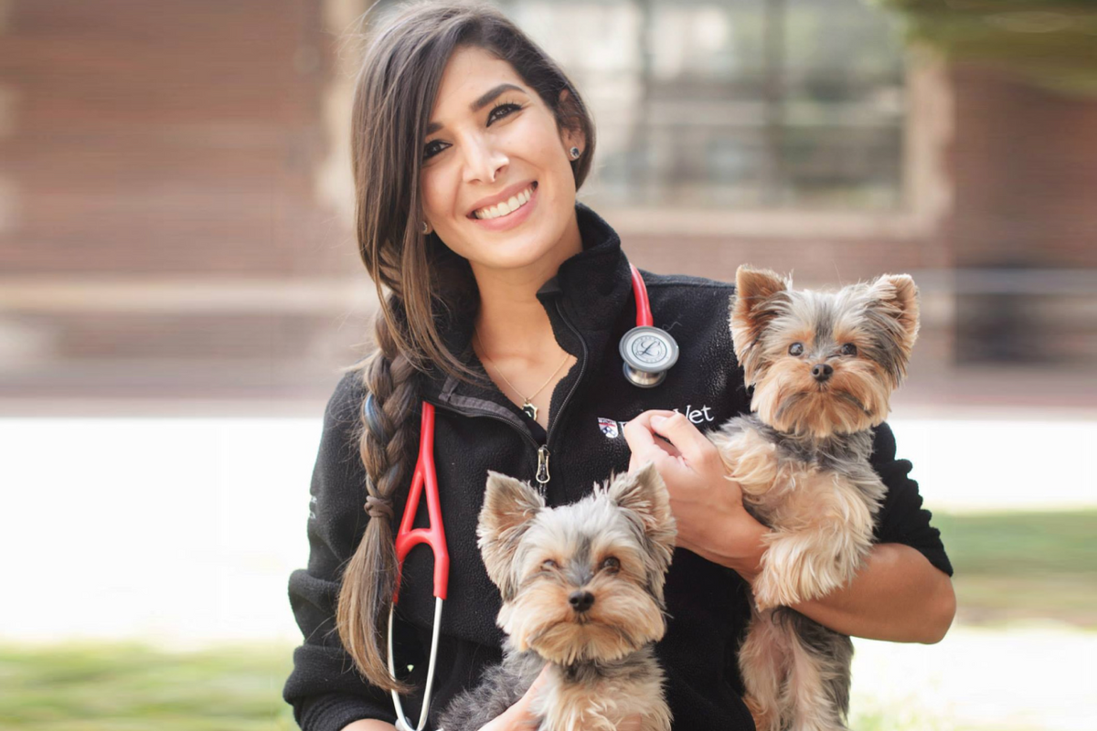 Meet the Wild Earth Vet!