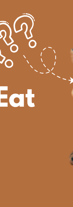 A gray tabby cat with a slice of bread around its head on a brown background. The text next to the cat says "Can Cats Eat Bread?" 