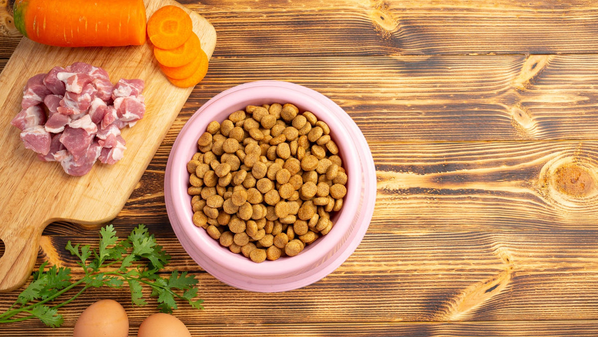 What Are The Benefits of Vegan Pet Food?
