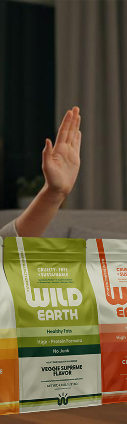 A woman high-fives a dog on a couch, with Wild Earth dog food bags in front. The scene is warm and cozy, suggesting happiness and health.
