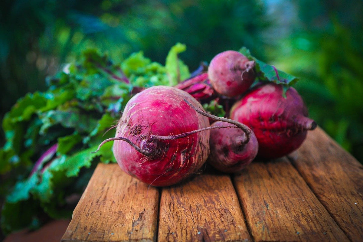 are beets safe for dogs