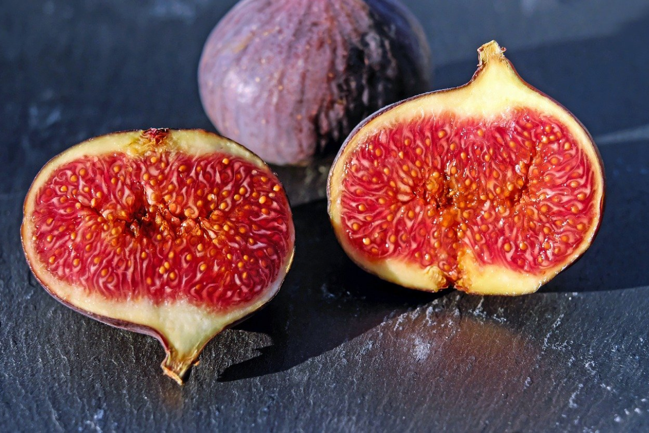 Can Dogs Eat Figs? Are They Safe For Dogs?