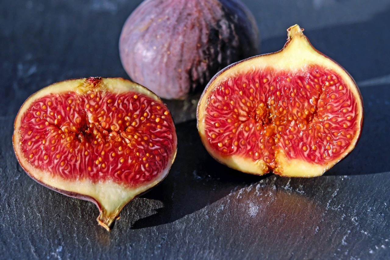 Are Figs Good or Bad for Dogs? The Complete Safety Guide