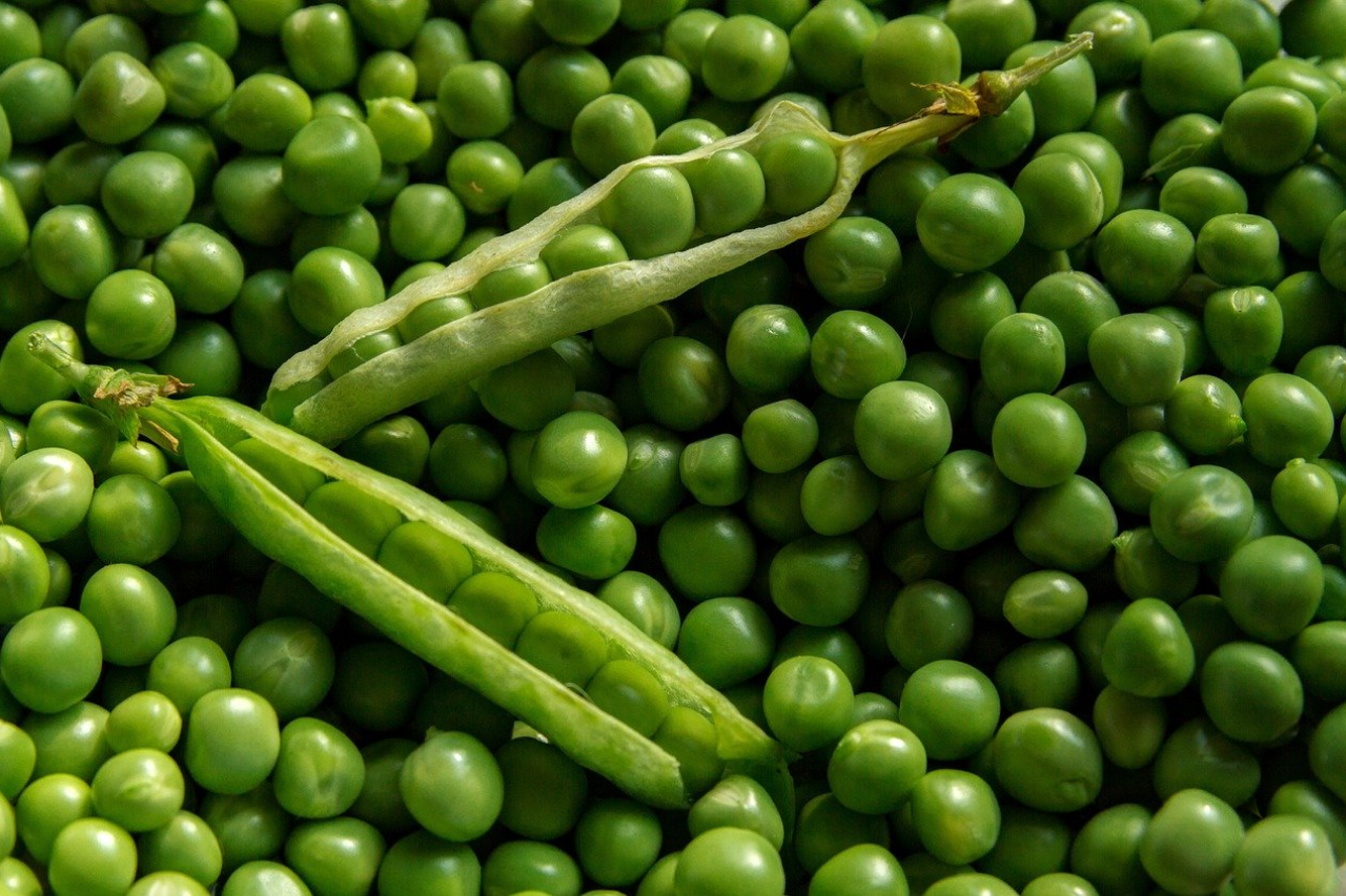 Can Dogs Eat Peas? Are Peas Good For Dogs?