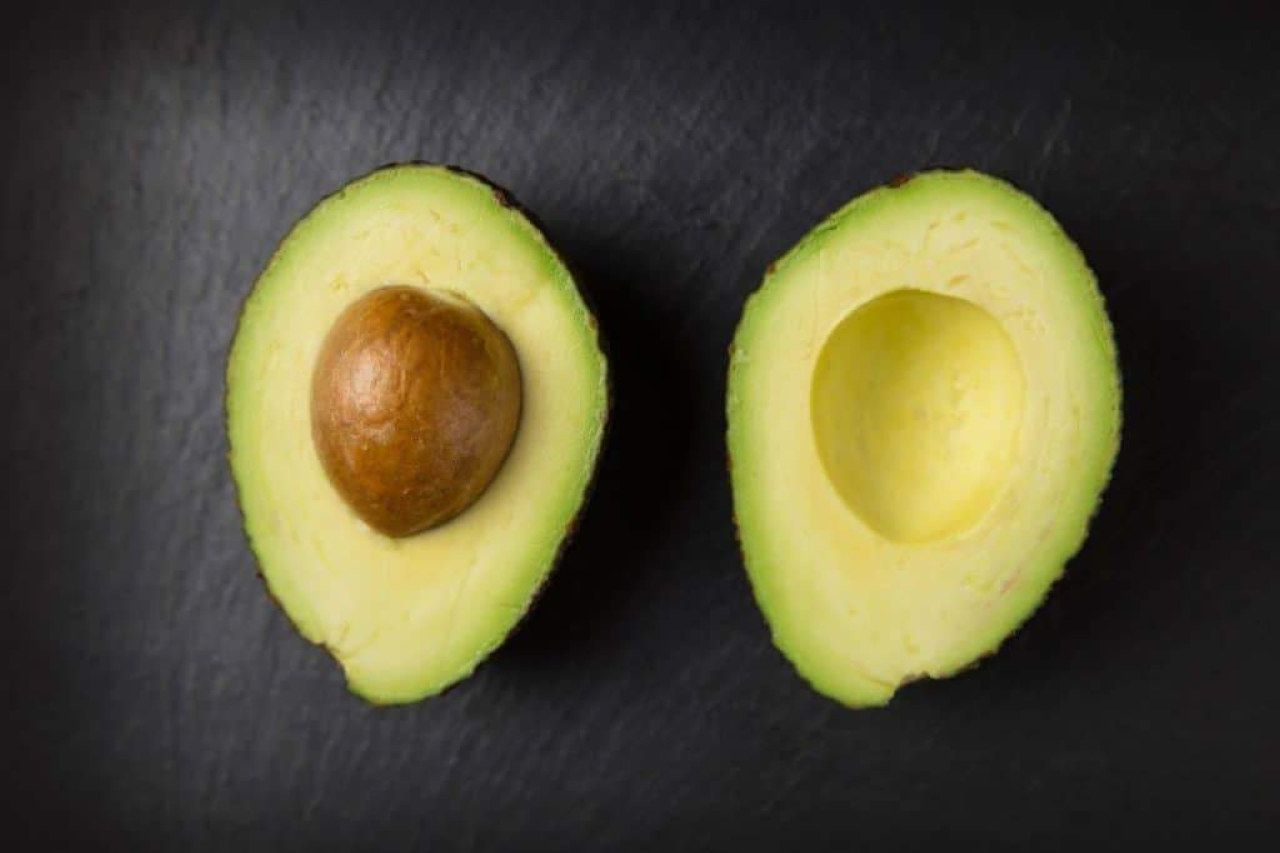 Can Dogs Eat Avocado? Benefits and Risks of Avocado for Dogs