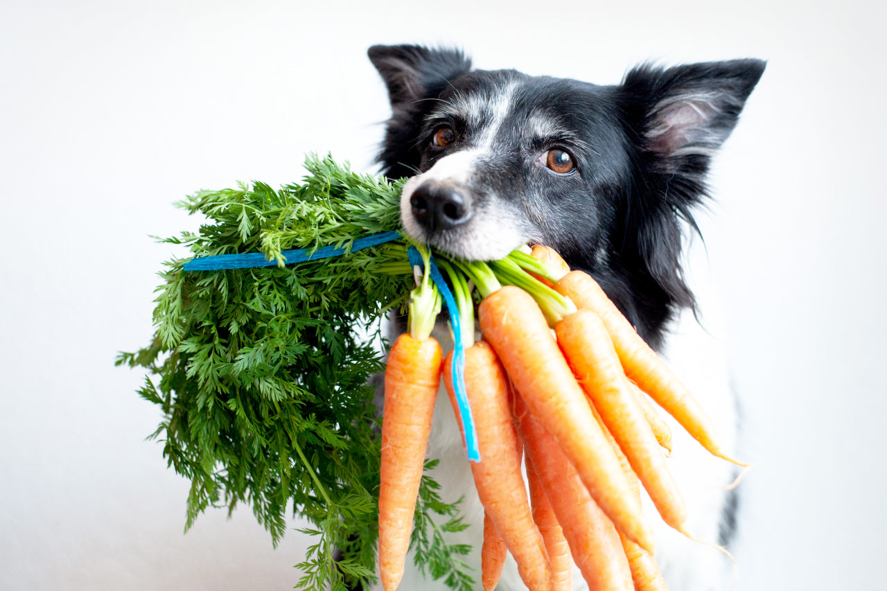The Best Vegetables for Your Best Friend