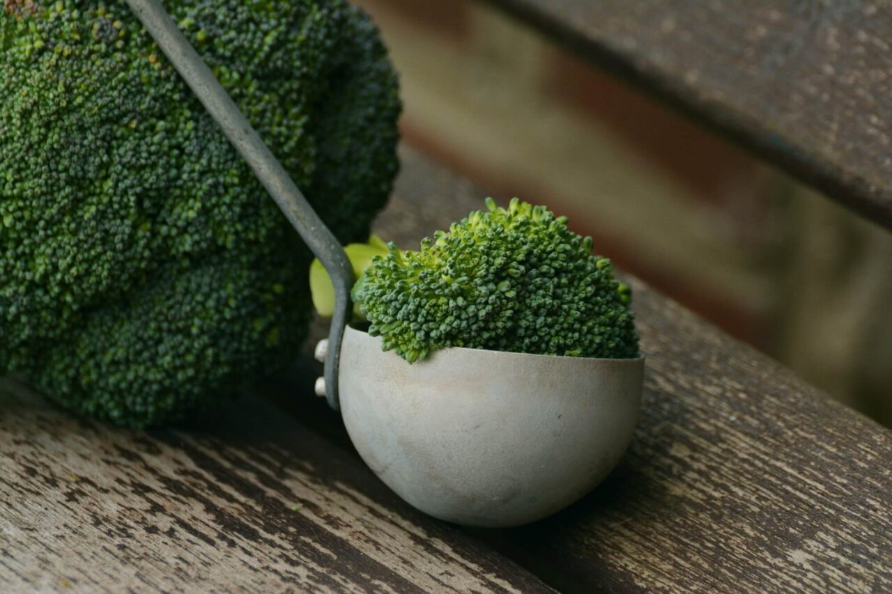 Can Dogs Eat Broccoli?