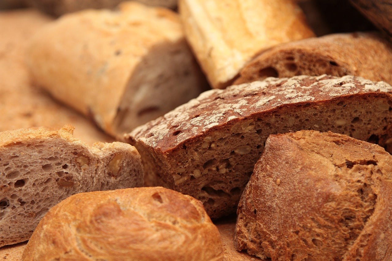 Can Dogs Eat Bread? Is It Safe For Dogs?