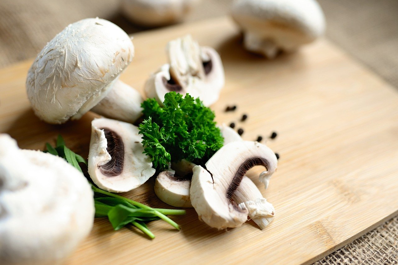 Can Dogs Eat Mushrooms? Are They Safe For Dogs?