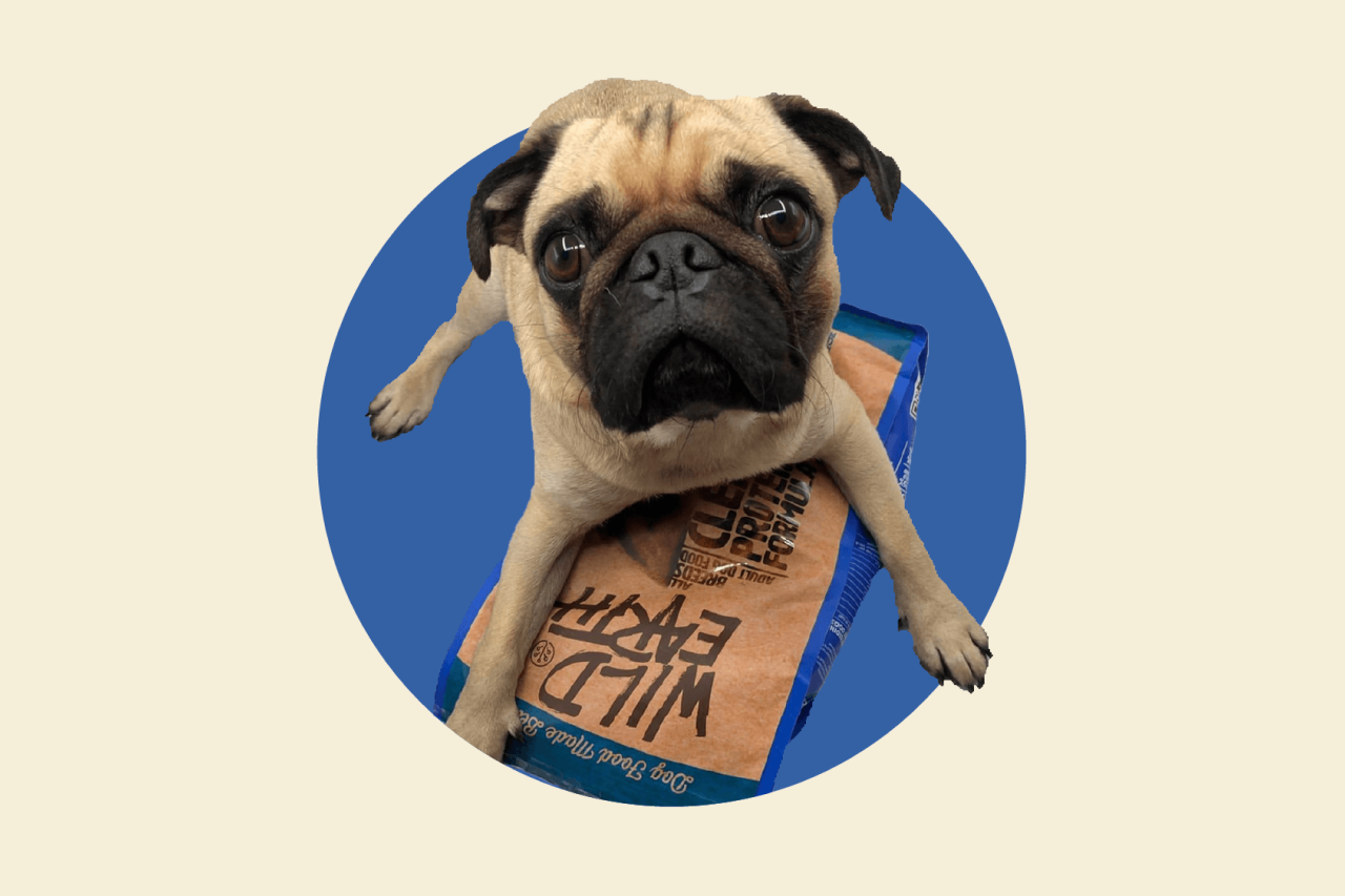 Can You Help My Picky Eater Dog?