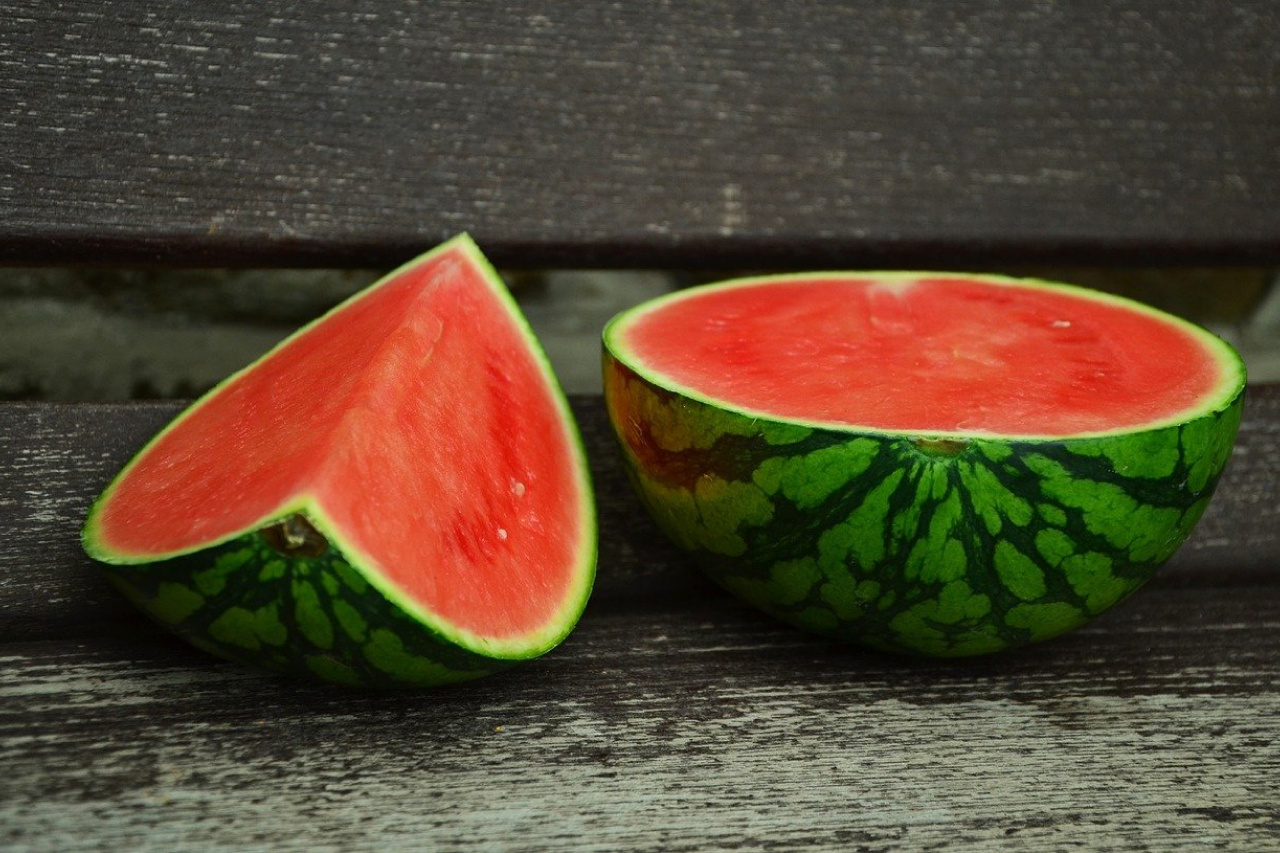 What To Do If Your Dog Ate A Watermelon Rind
