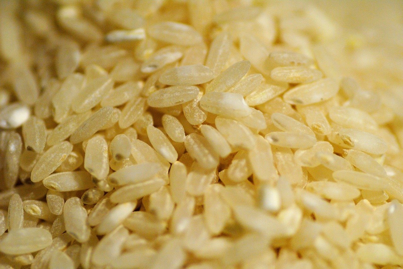 dogs brown rice