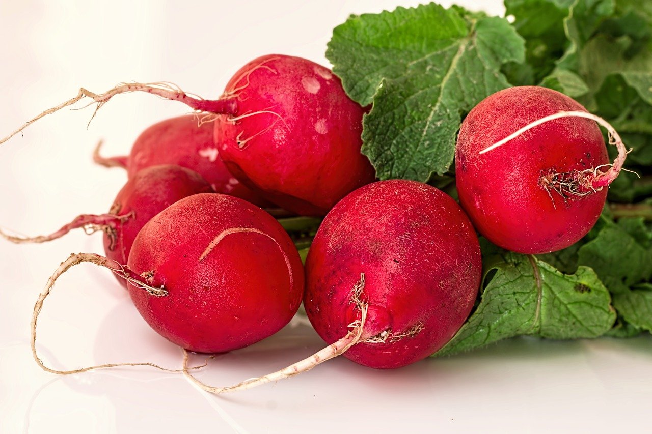 are radish safe for dogs